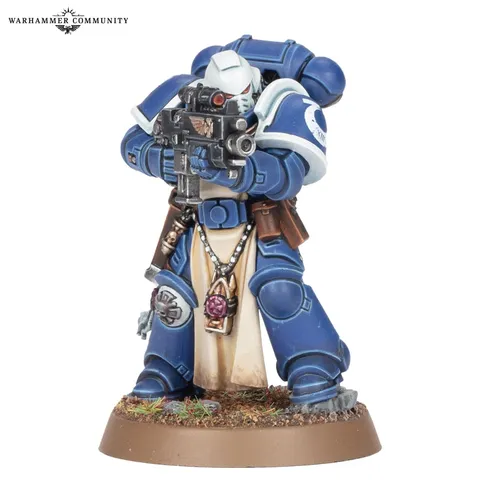 Sternguard Veteran miniature